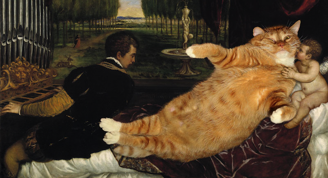 Cats Improving Works Of Art