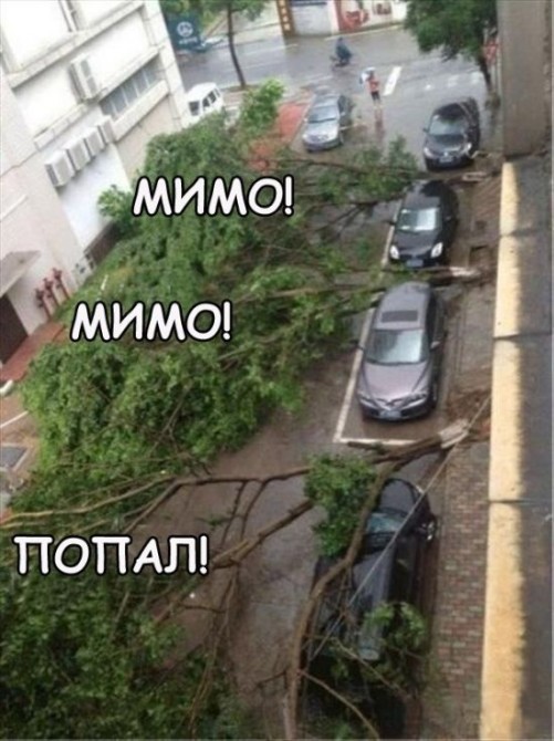 Awesome Photos From Russia With Love - tree dominoes