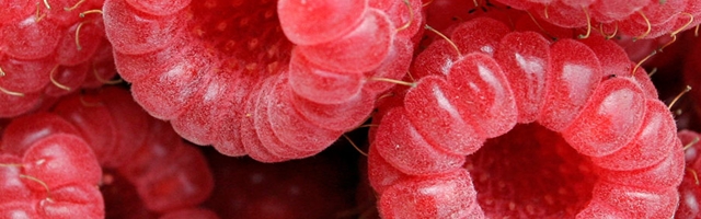Facts About Serbia - Raspberry export