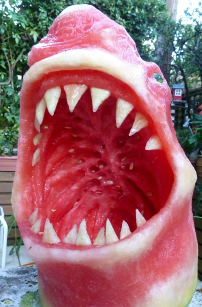 Watermelon Art 13