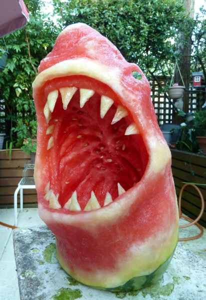 Watermelon Art 29