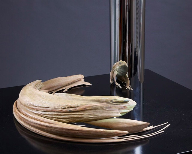 Anamorphic Art - Jonty Hurwitz frog