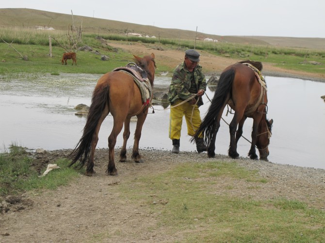 Brave Trousers Bad Pants - Mongolian yellow