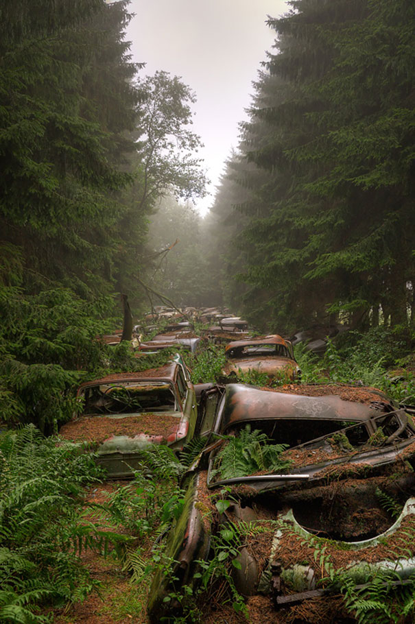 Car Graveyard 1