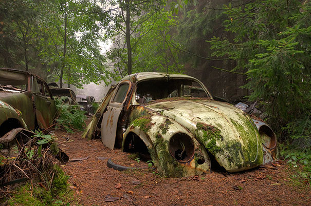 Car Graveyard 2