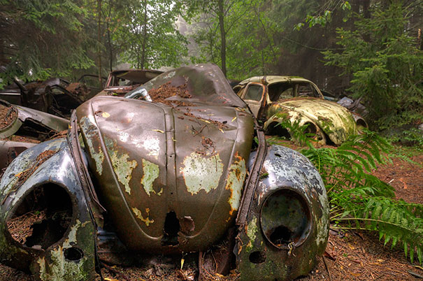 Car Graveyard 3