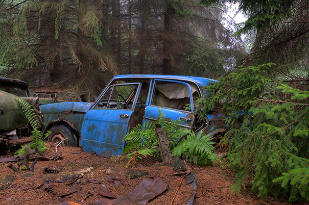 Car Graveyard 7