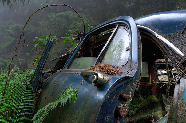 Car Graveyard 8