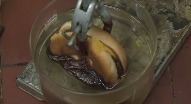 McDonalds Burger Dissolved Stomach Acid