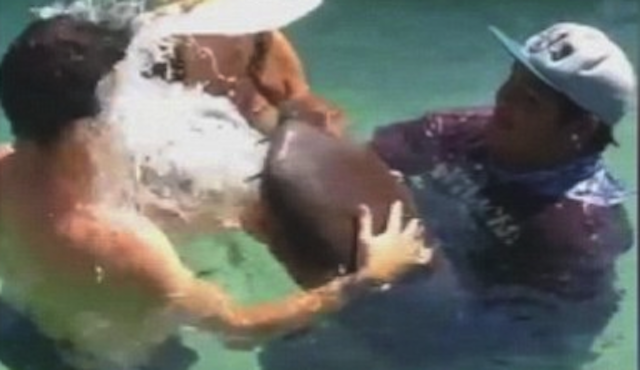 Shark Pukes Tourist's Face