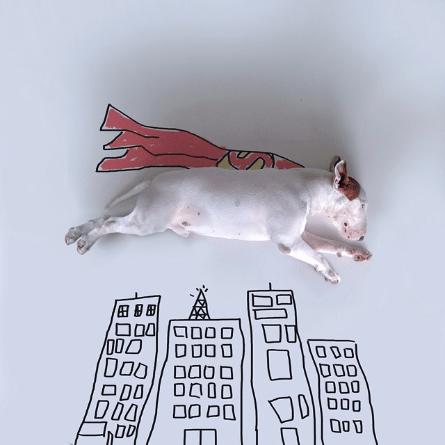 Bull Terrier Cute Illustrations 3