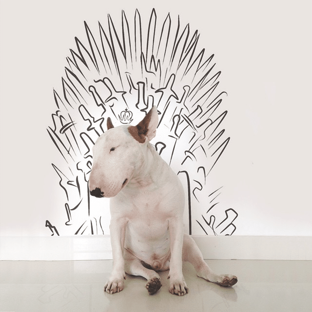 Bull Terrier Cute Illustrations 7