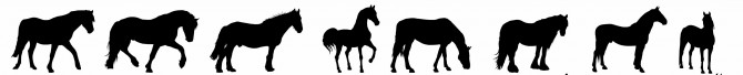Enumclaw horse scandal - horse silhouette 2