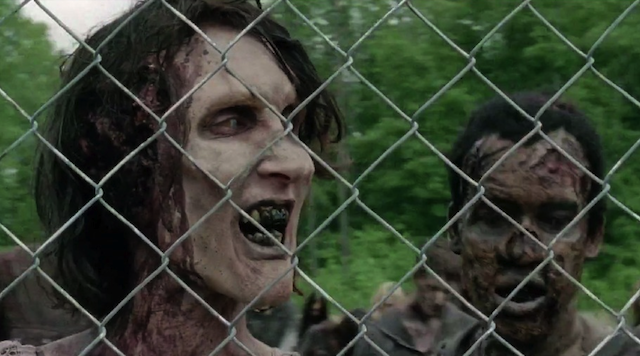 Walking Dead Bad Lip Reading