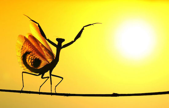 National Geographic 20