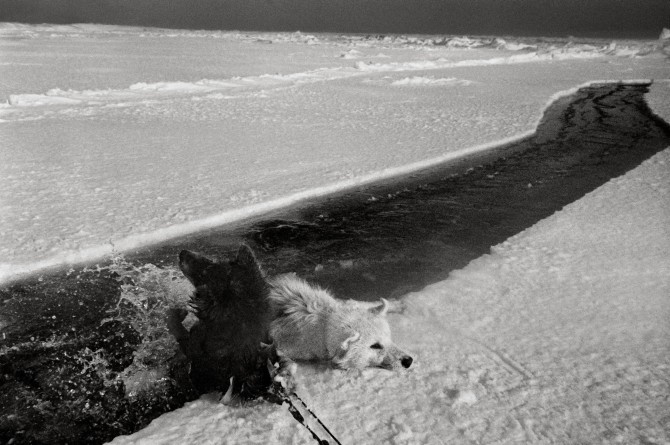 Last Days of the Arctic, Photos © Ragnar Axelsson, www.RAX.is 2010.