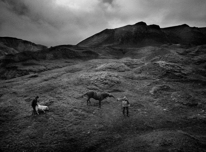 Ragnar Axelsson RAX - wild horses
