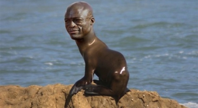 Seal