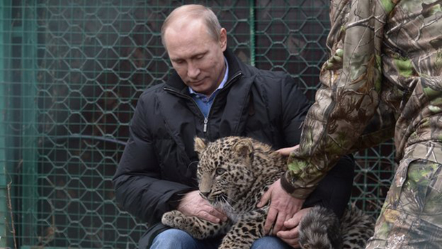 PUTIN-TIGER.jpg