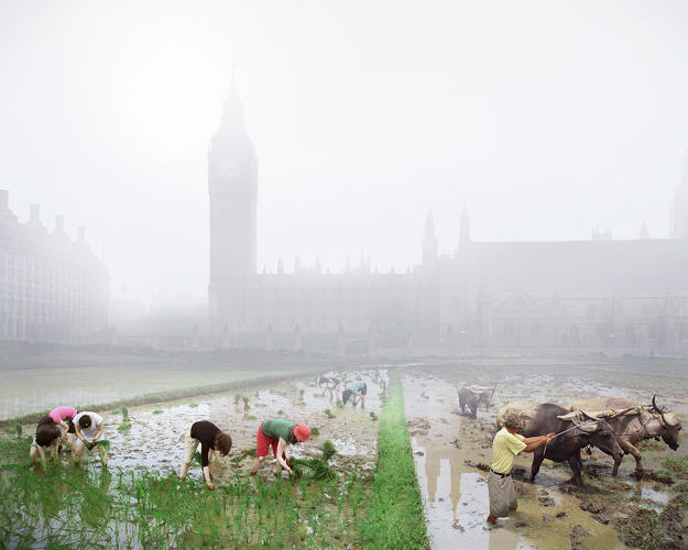 Postcards From The Future - London Paddy Fields