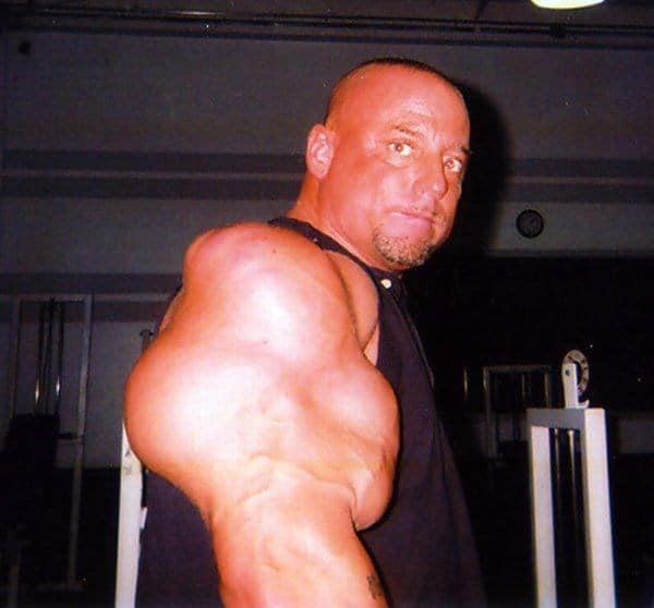 Synthol 14