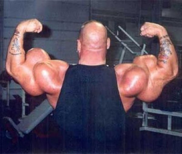 Synthol 16