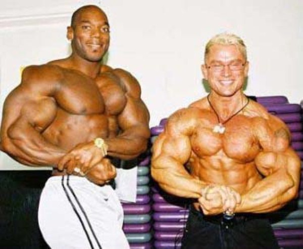 Synthol 19