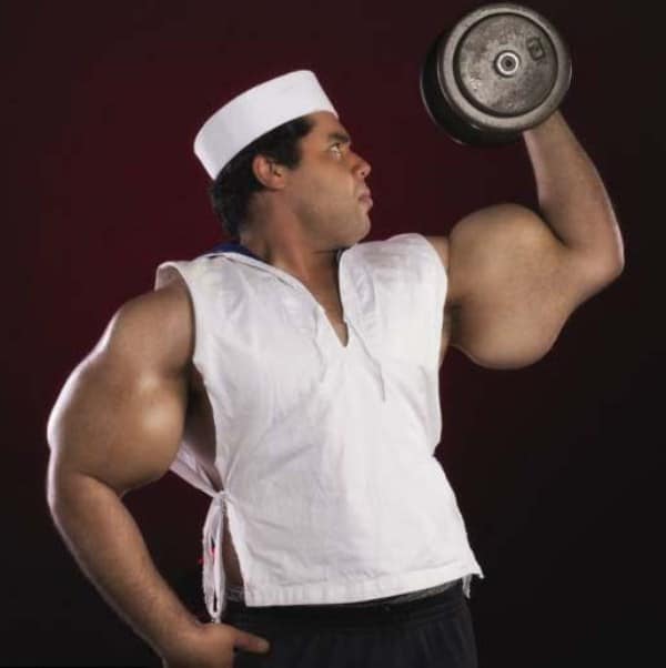 Synthol 2