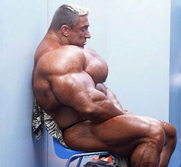 Synthol 3