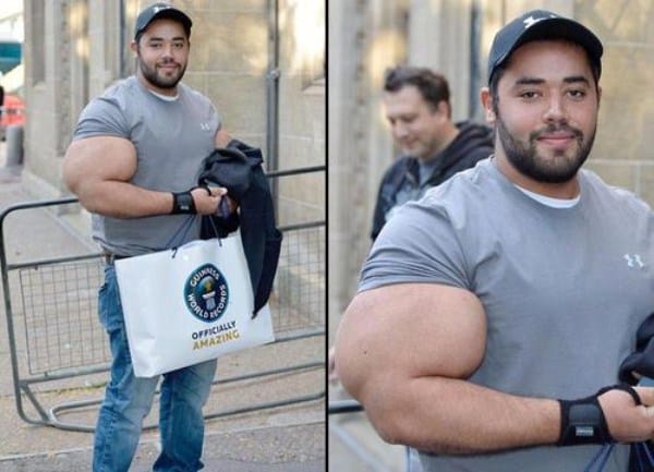 Synthol 6