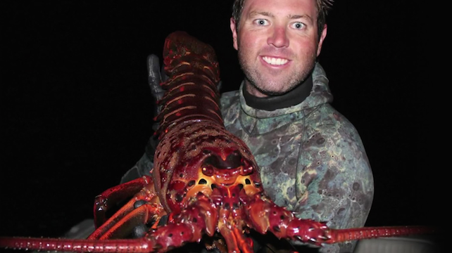 12 Pound Lobster