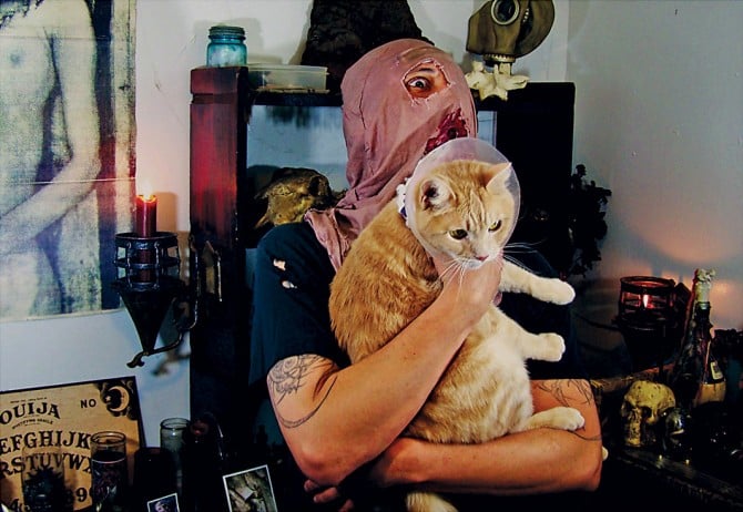 Alexandra Crockett - Metal Cats - Dino Sommese