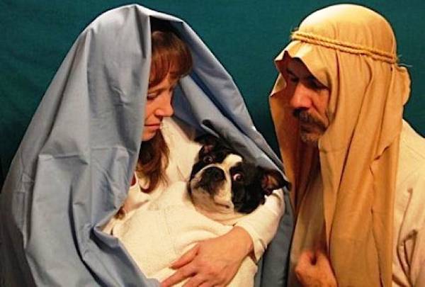 Awkward Christmas Family Photographs 15