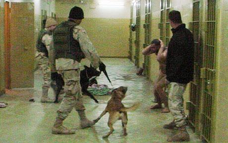 CIA torture report use of dogs 2