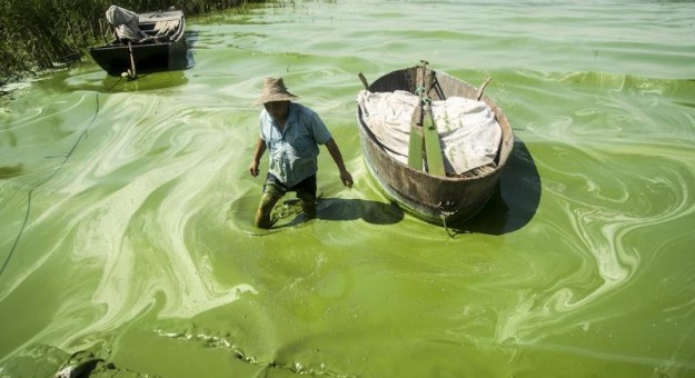 China Pollution Images - algal blooms 3