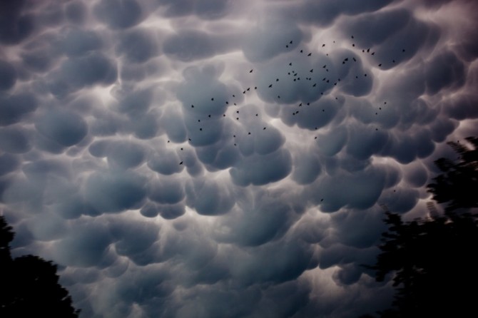 Cloud Formations - Mammatus