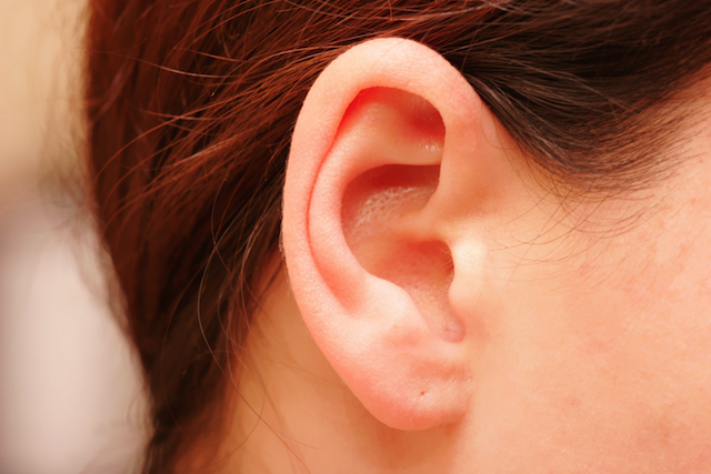 Ear