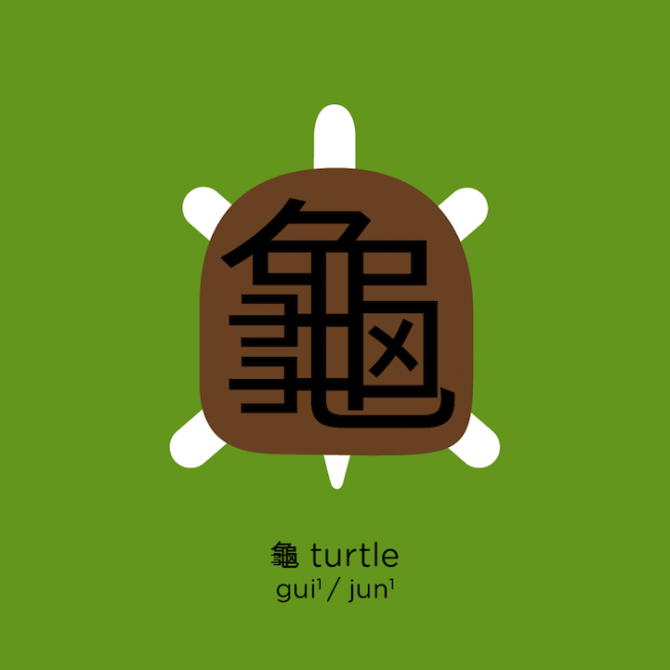 Learn Chinese 5 Turtle