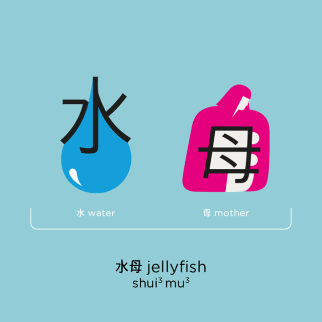 Learn Chinese Jellyfish