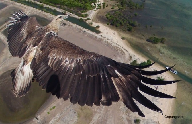 Best Drone Photos - Bali Barat National Park in Indonesia