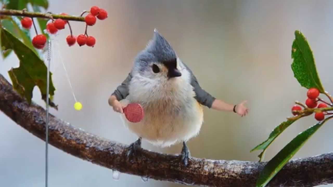 Birds With Arms Are Back But This Time They’re ALIVE!
