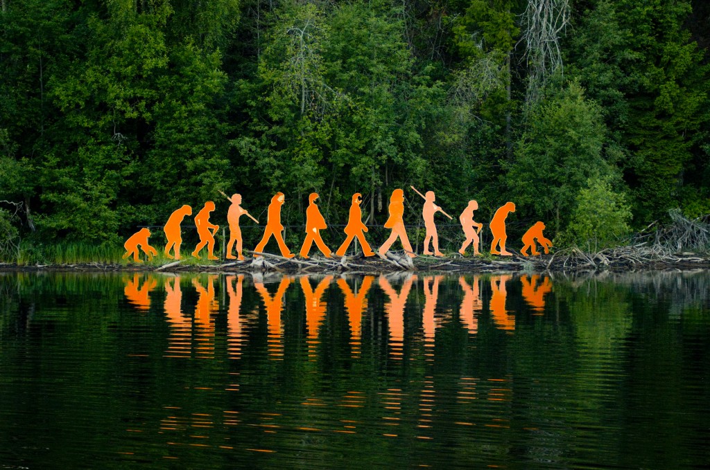 10 Parts Of The Human Body That Prove Evolution Was Real