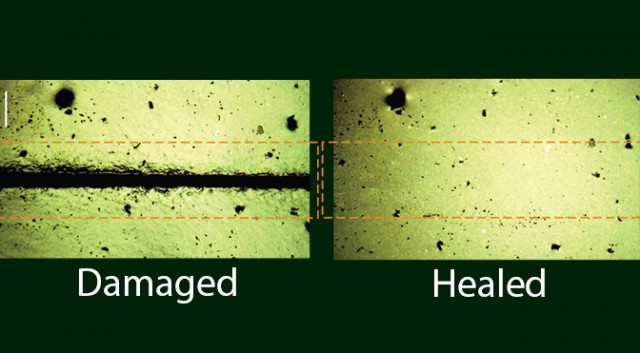 Amazing Materials - Self Healing Plastic 2