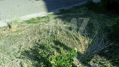 Bieber House Meek Mill Damage 18