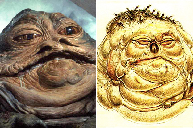 Early Concept Art - Jabba The Hut