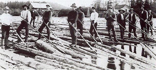 Jobs That No Longer Exist - Log Driver