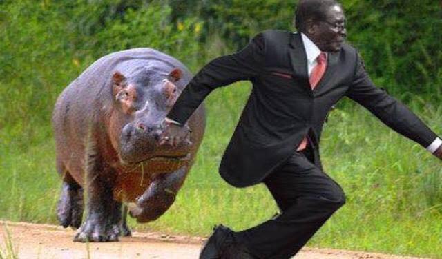 Mugabe Meme 3