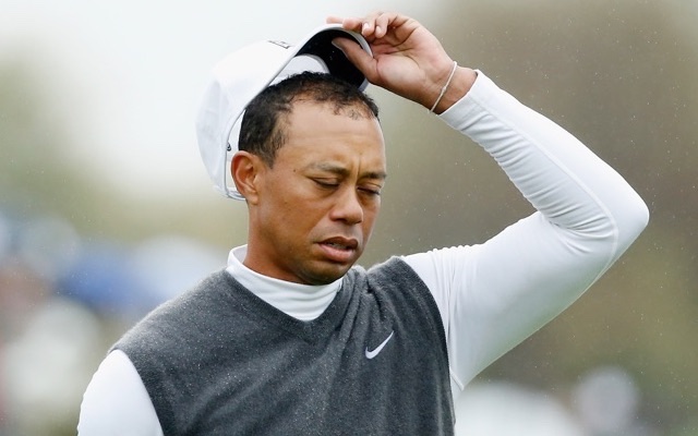 Tiger Woods Quitting Golf 2