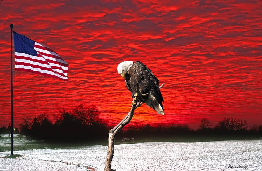 The US Pledge Of Allegiance Was Read Out In Arabic In New York School And Everyone Went Nuts