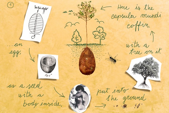 Capusla Mundi - Corpse Pod - diagram